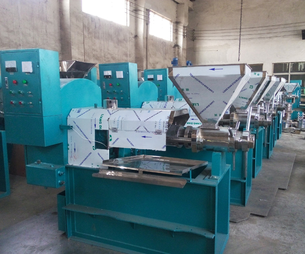 Oil press machine